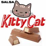 SALSA KITTY CAT